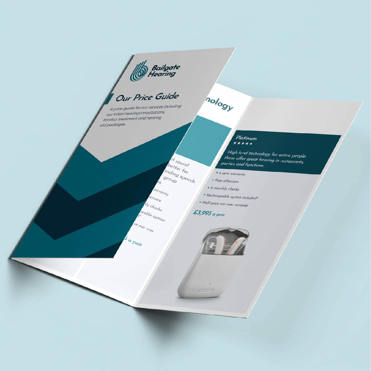 Bailgate Hearing leaflet